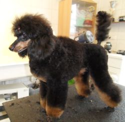 7mo 015